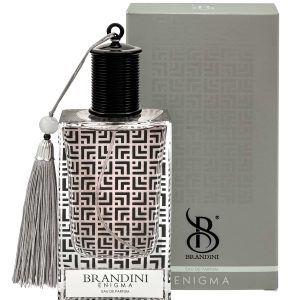 ادوپرفیوم مردانه برندینی (Brandini) مدل Enigma مشابه ysl Y حجم 90 میلی لیتر
